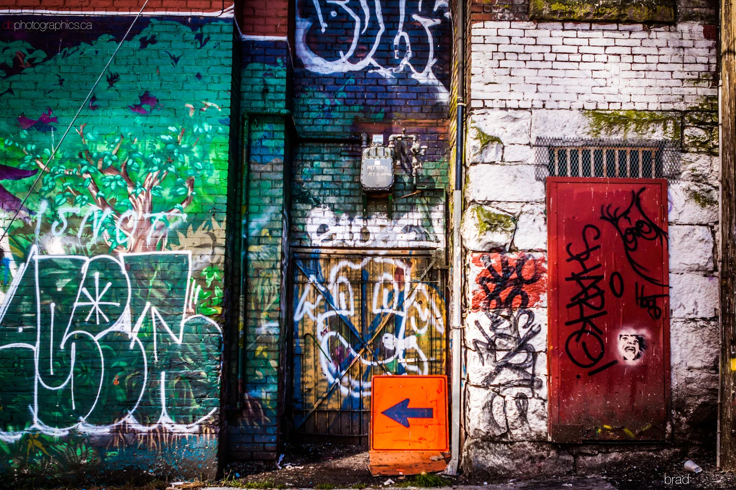 van-sea-2013-277-lr-db.jpg