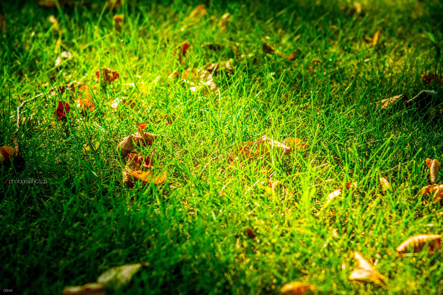 365 - 20130916 - dave - IMG_3822.jpg