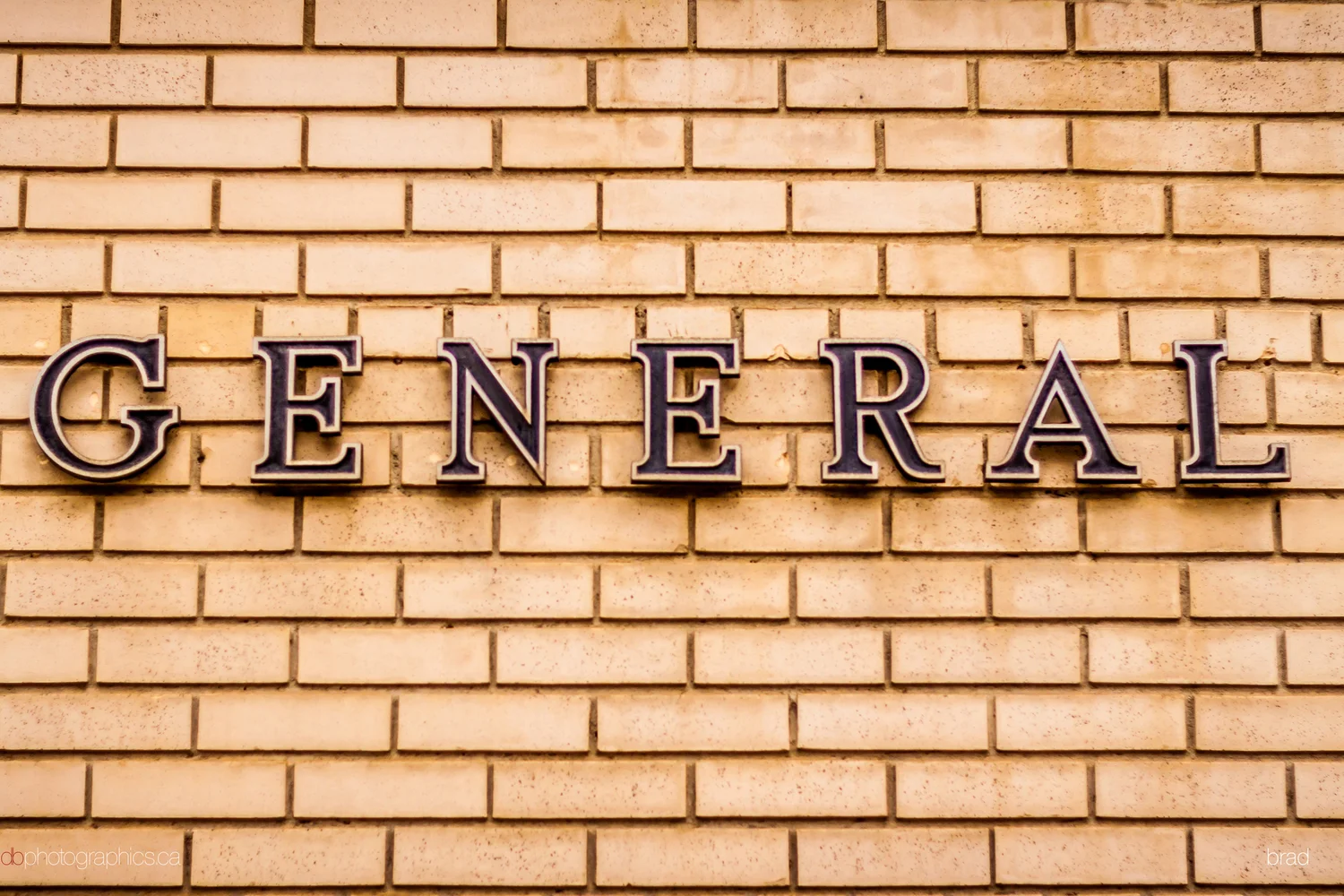 365-october-005-lr-db.jpg