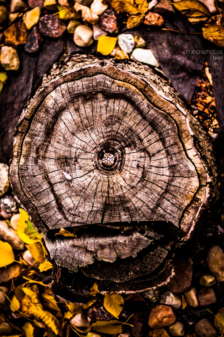 365-october-022-lr-db.jpg