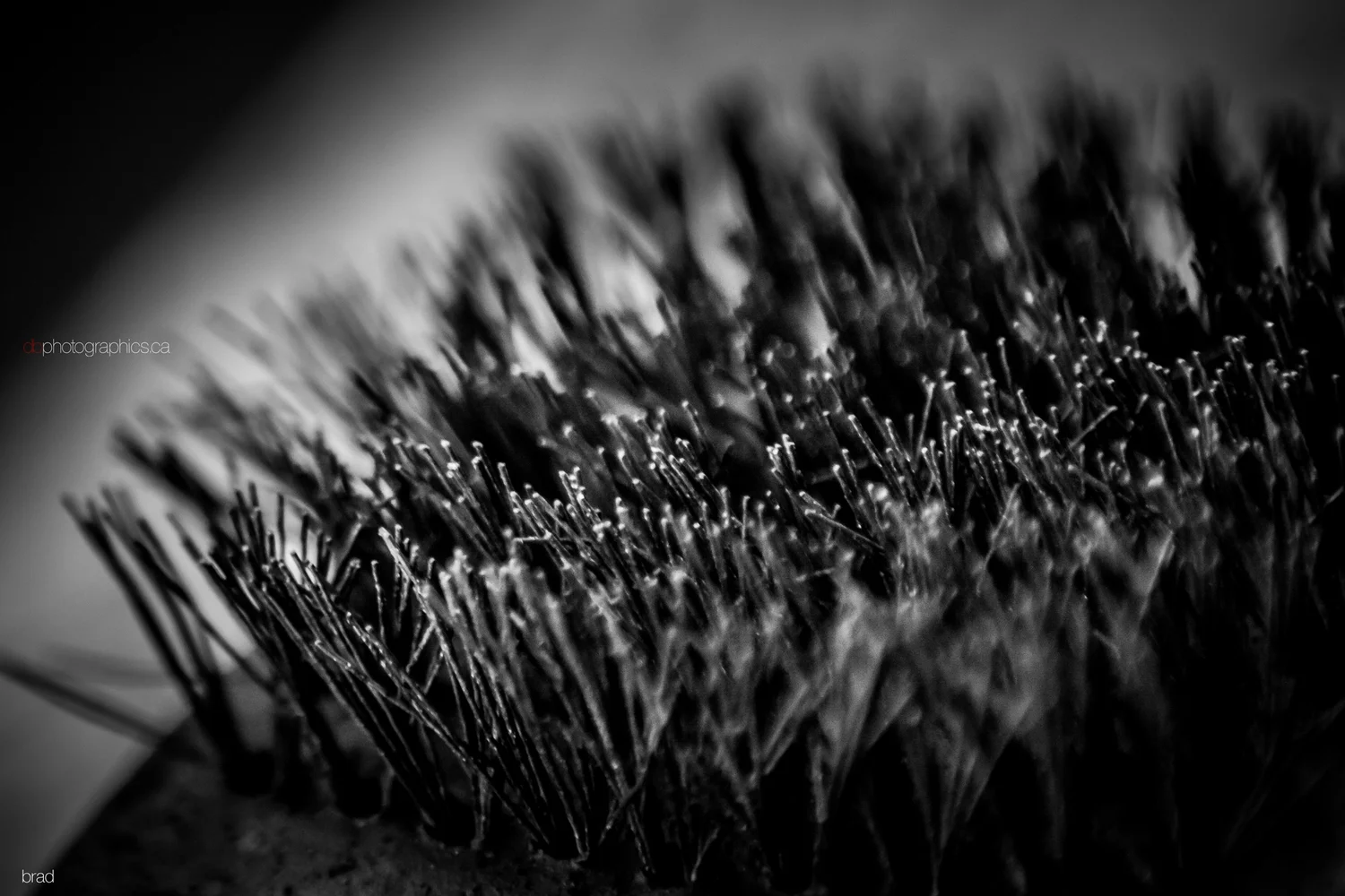 untitled-001-2-lr-db.jpg