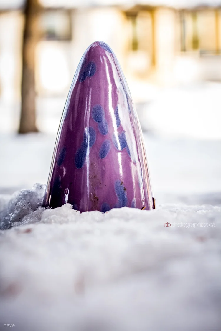 365 - 20131124 - dave - IMG_9843.jpg