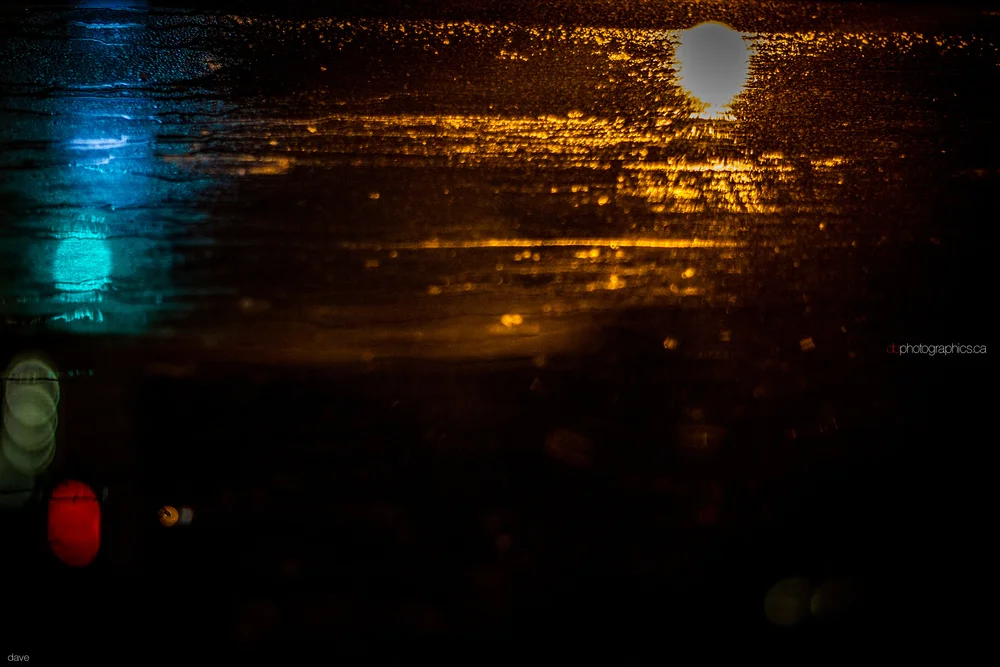 365 - 20131127 - dave - IMG_9872.jpg