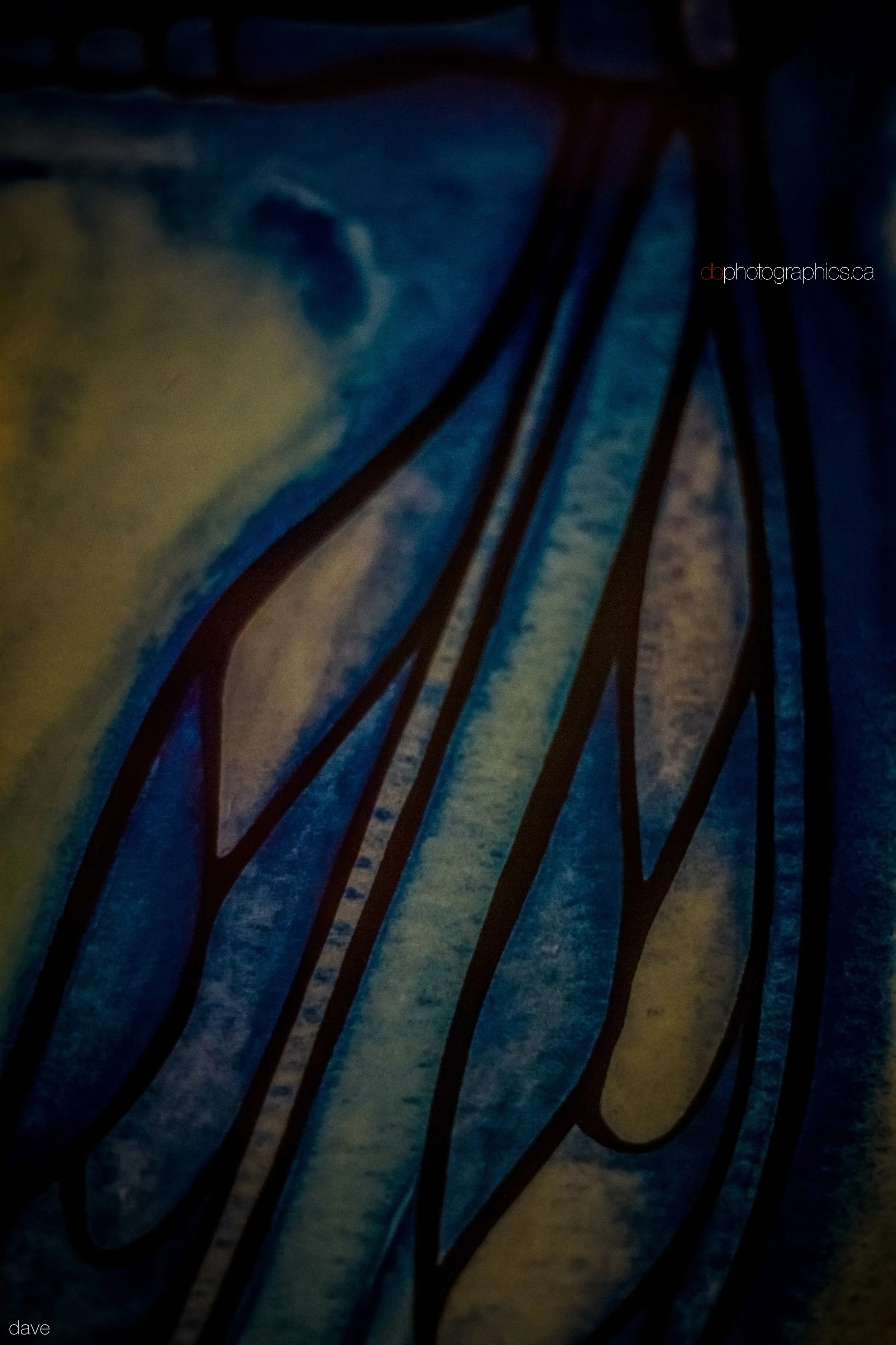 365 - 20131212 - dave - IMG_0078.jpg