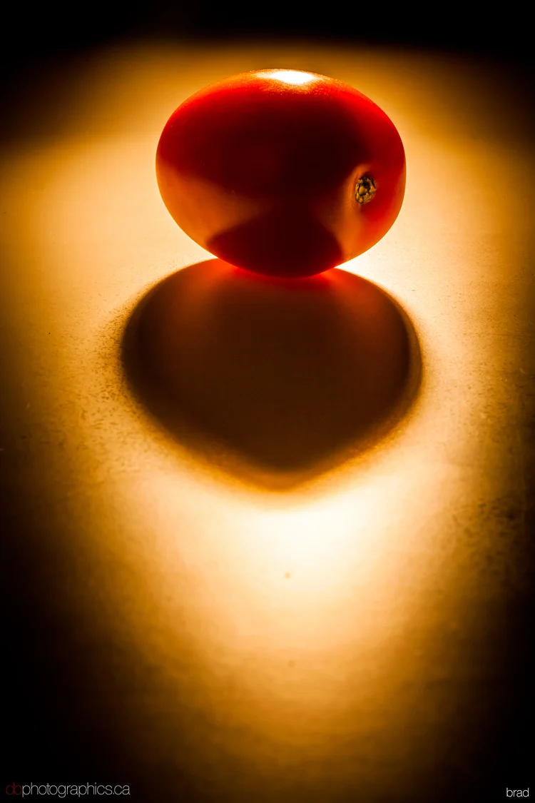untitled-024-lr-db.jpg