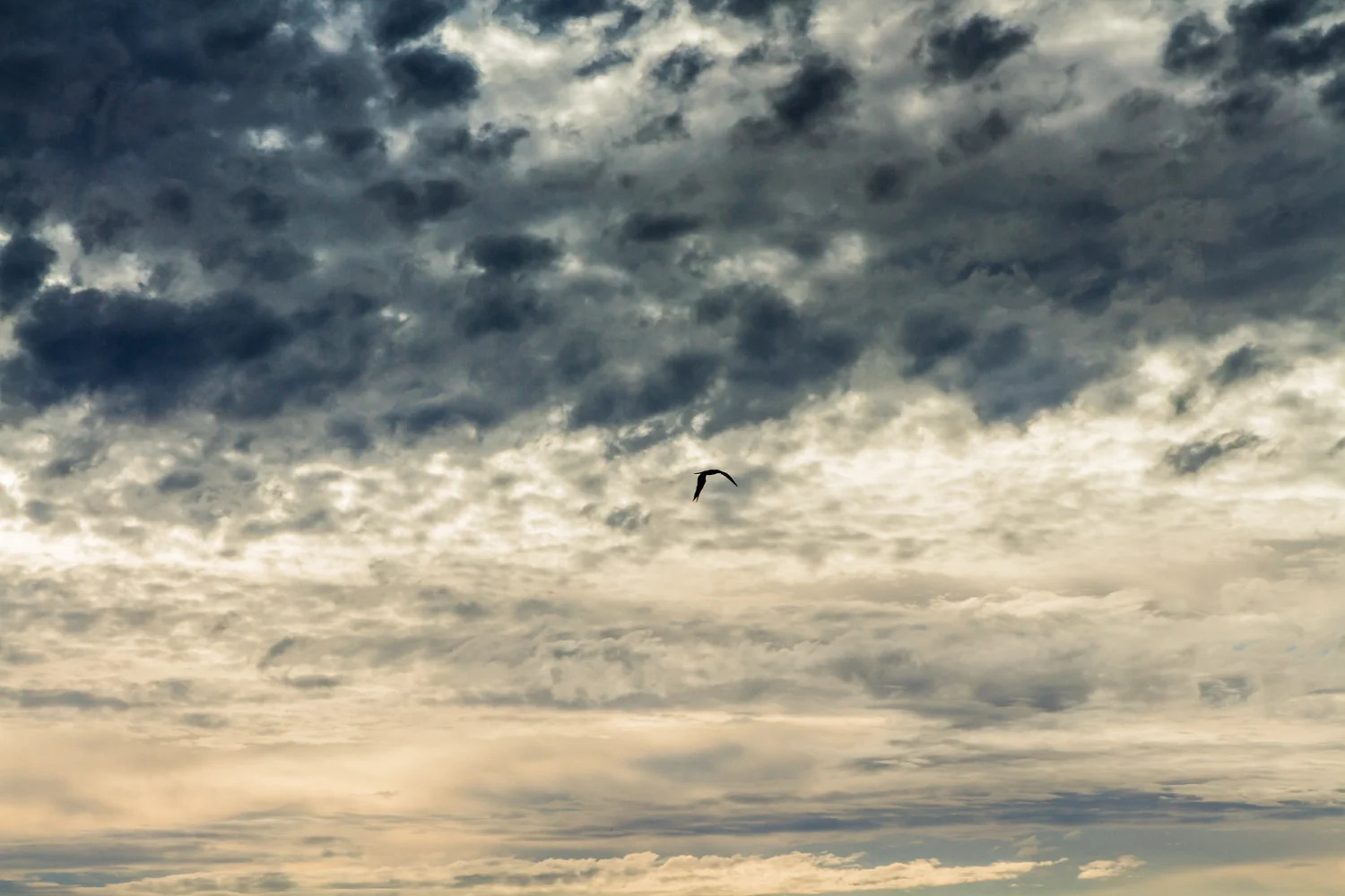 Ixtapa-2015191-lr-blog.jpg