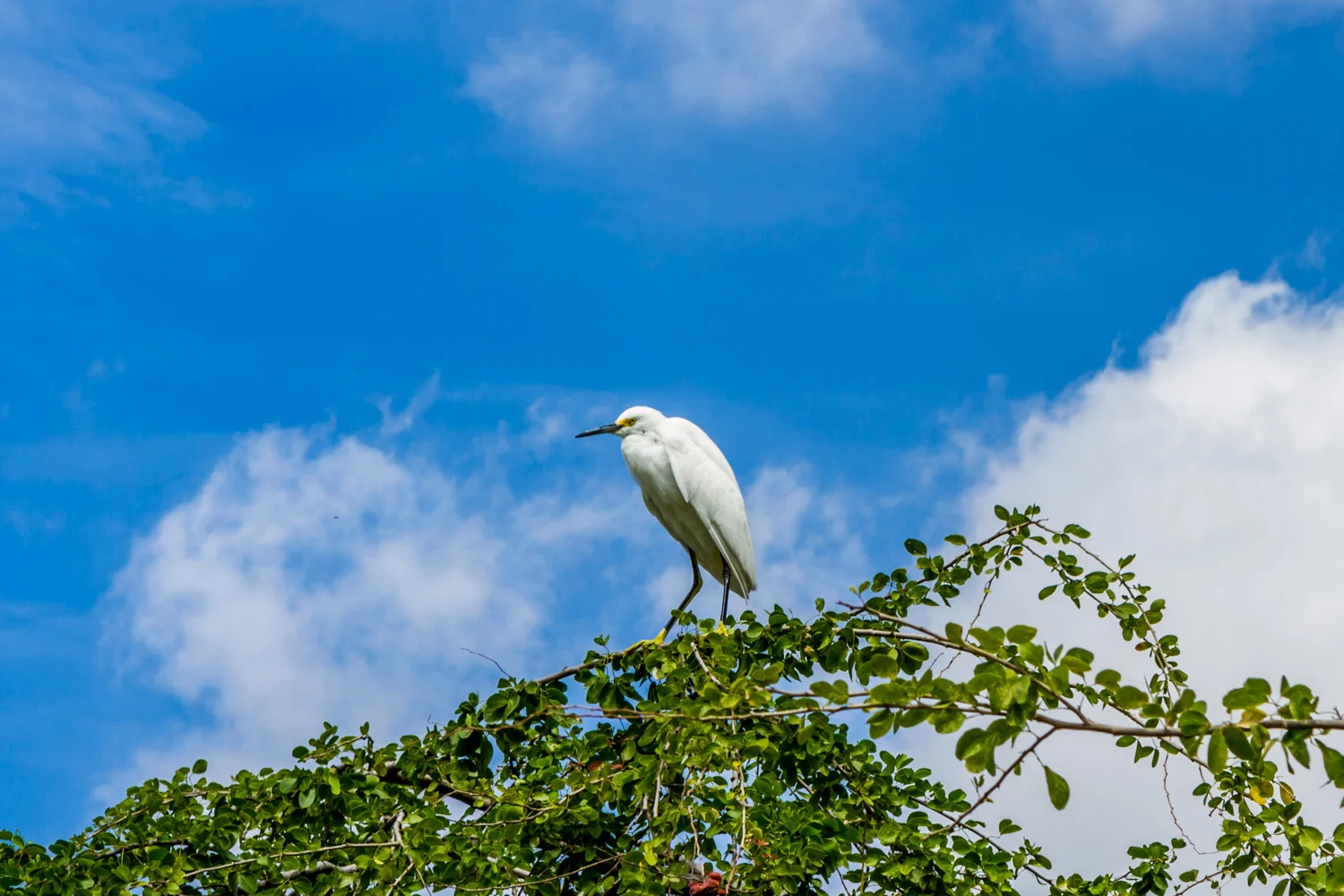 Ixtapa-2015343-lr-blog.jpg