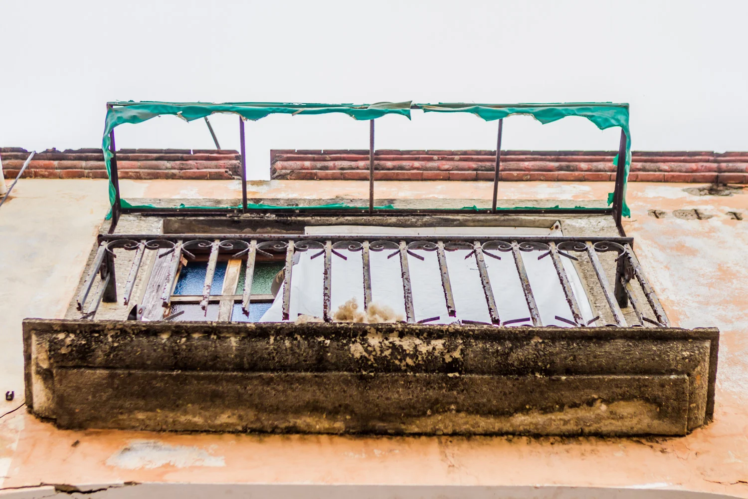 Ixtapa-201554-lr-blog.jpg
