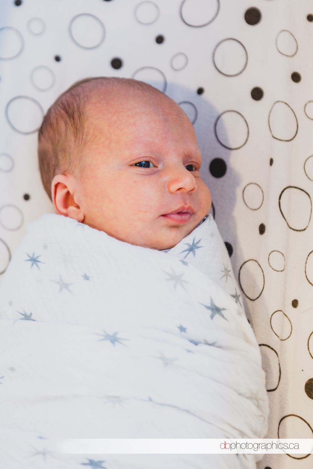Bilou Family Portraits - 20161210 - 077.jpg