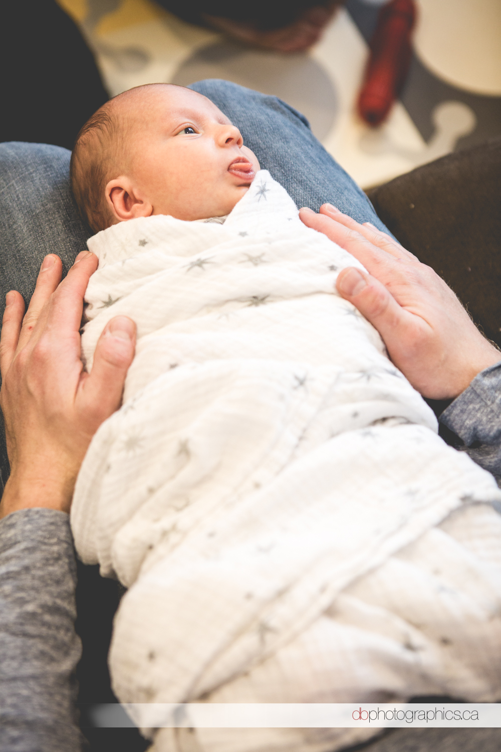 Bilou Family Portraits - 20161210 - 100.jpg