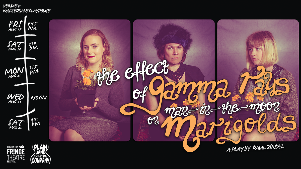 Marigolds - Facebook Cover 2.png