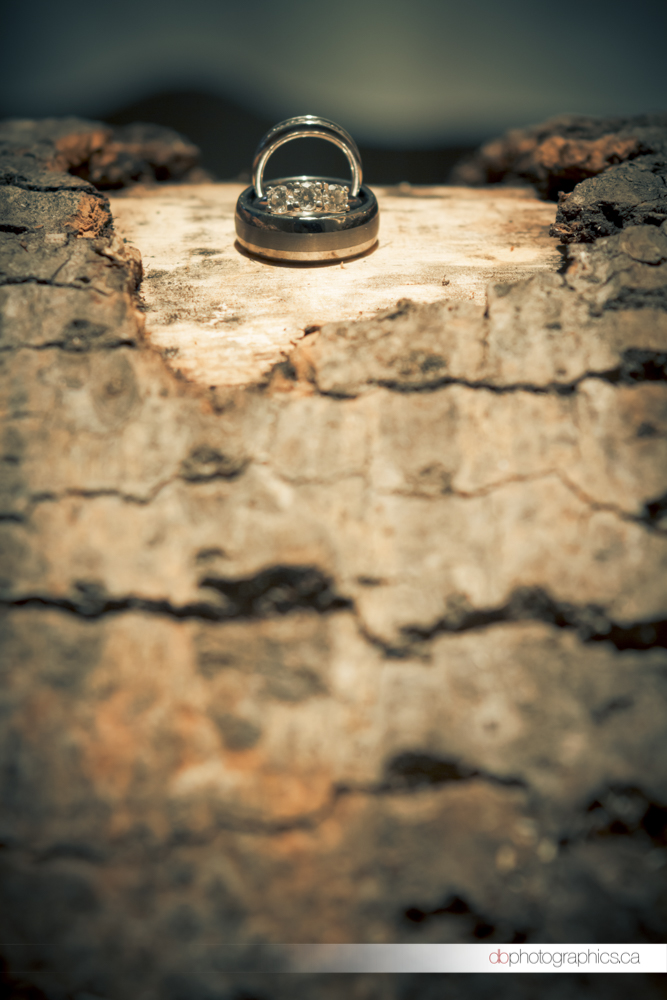 juniper-adam-749-2-lr-pinterest.jpg