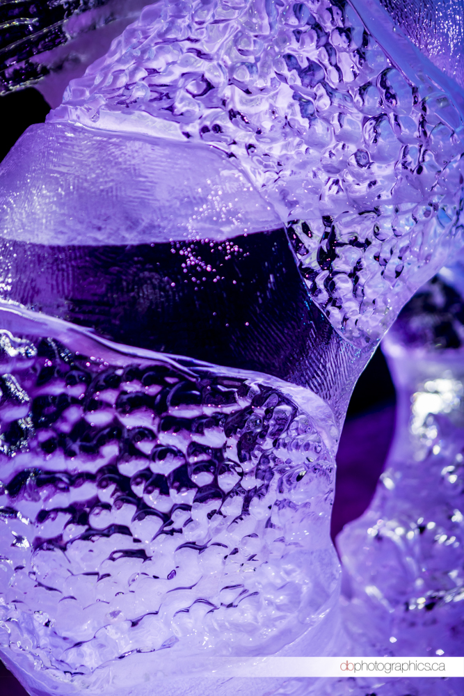 IOW-Sculptures-068-db-web.jpg