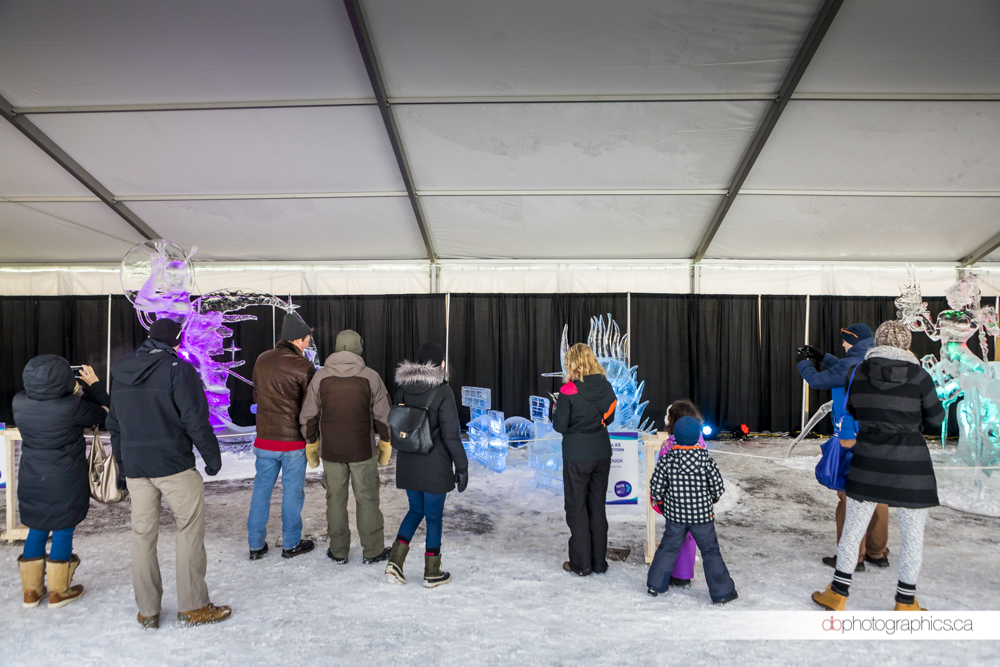 iceonwhyte-2-3-db-web.jpg