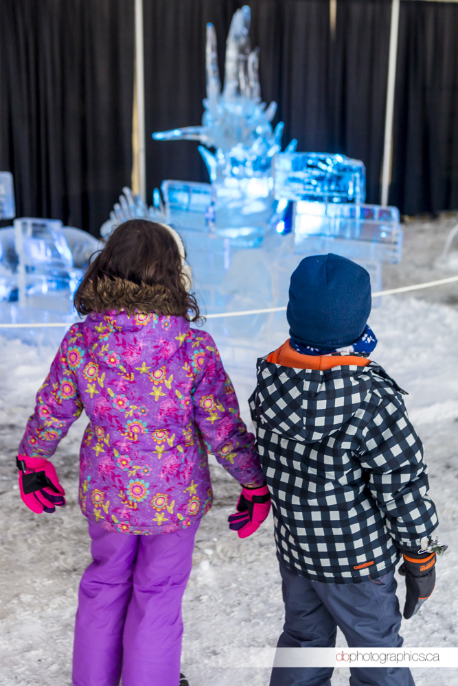 iceonwhyte-2-40-db-web.jpg