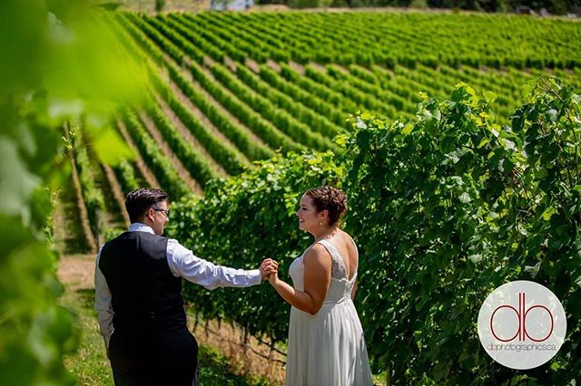 When in Naramata, take wedding photos in the vineyards. That's how the saying goes right? Congratulations Dawn and Stefanie! #naramata #weddings #thebrides