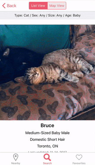 AdoptAPet_3.gif