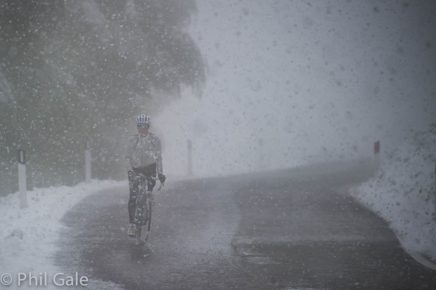 All weather rider.jpg