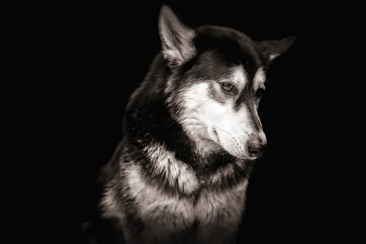 Michael Pfeiffer-Portraitfotografie-Leyla.JPG