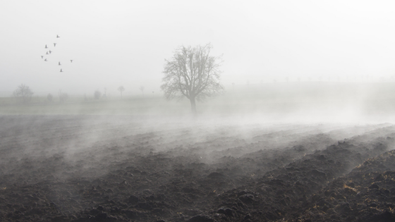 Fog.png