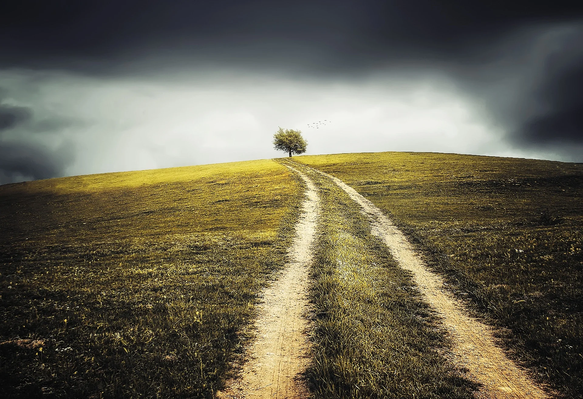 autumn-clouds-countryside-36024.jpg