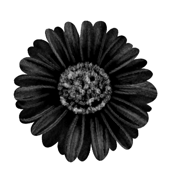 daisy.png