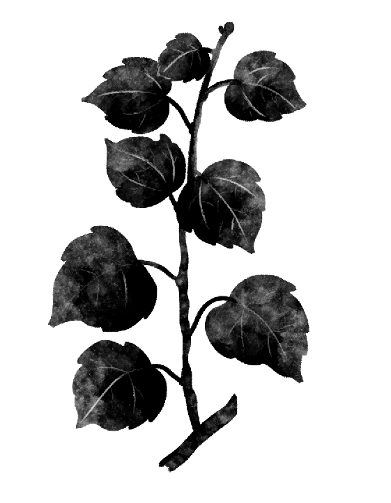 aspen.png