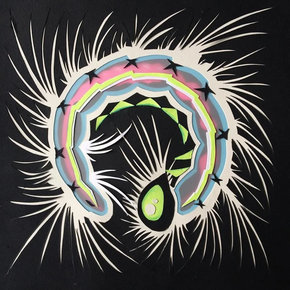 Charadra deridens Cut Paper and Mylar 8.5"x 8.5"