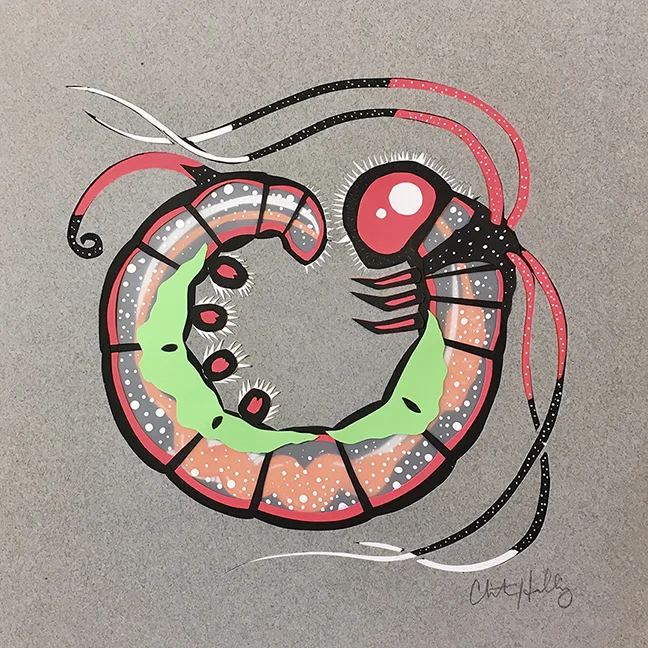 Arsenura bateseii Cut paper and Mylar 9"x9" SOLD