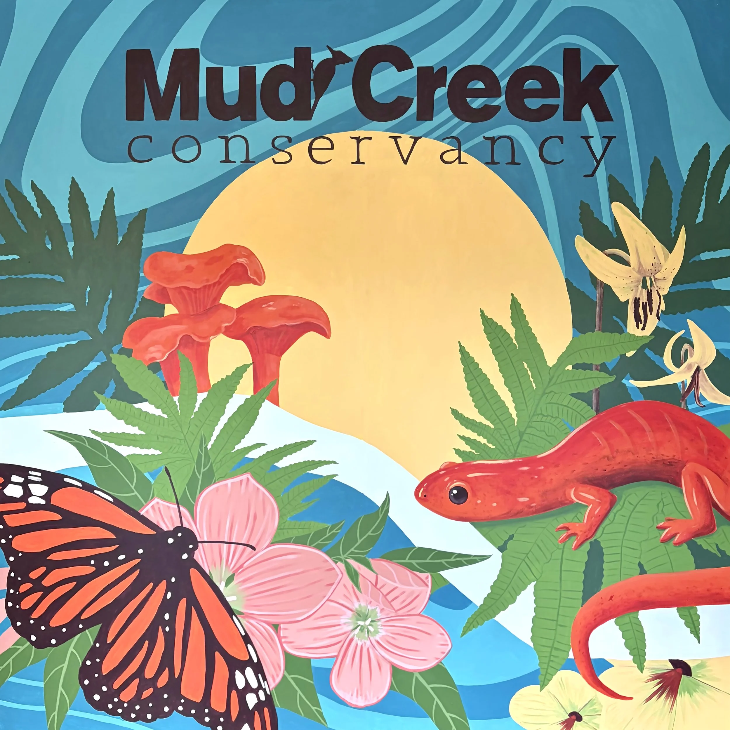 Mud Creek Conservancy