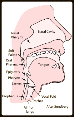 Mouth part of vocal tract