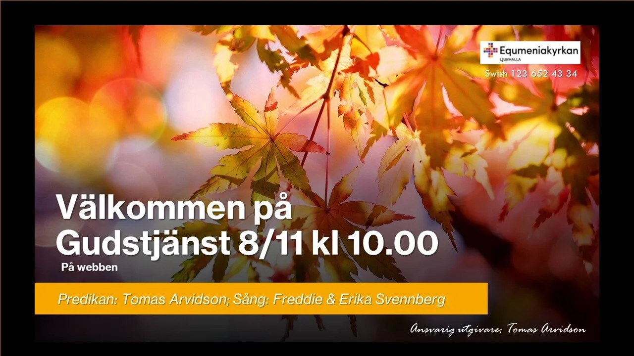 Webbgudstjänst 2020-11-08