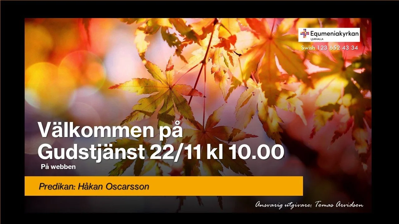 Webbgudstjänst 2020-11-22