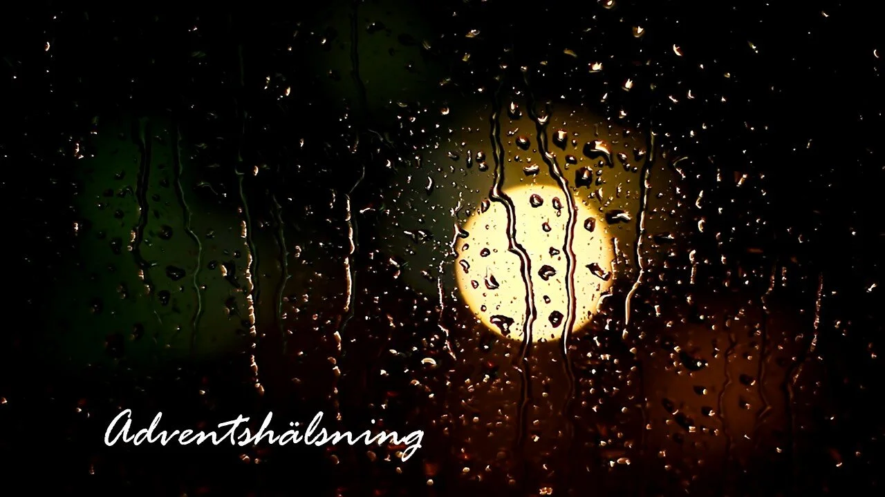 Ljurhall vlogg 2020-12-27