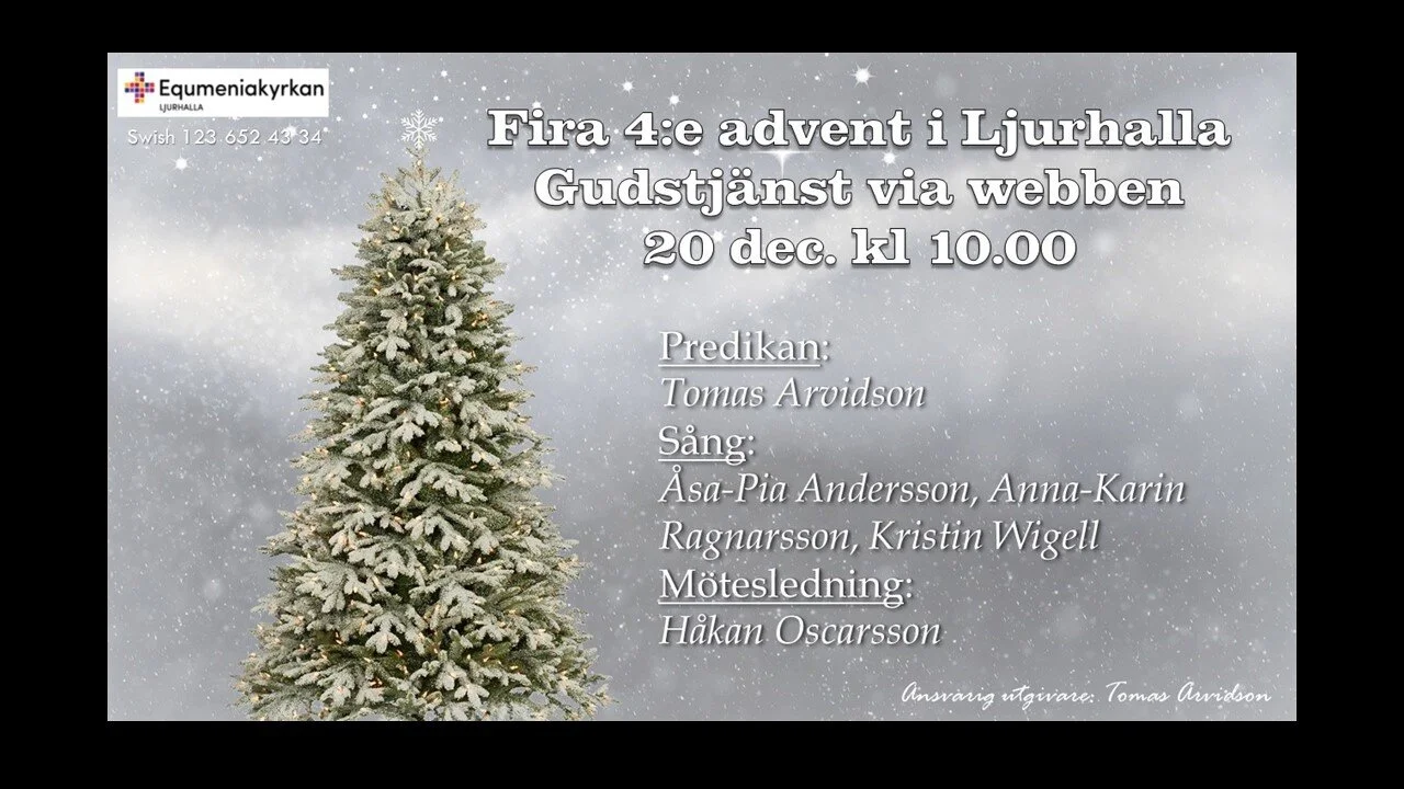 Webbsänd gudstjänst 20 dec kl 10