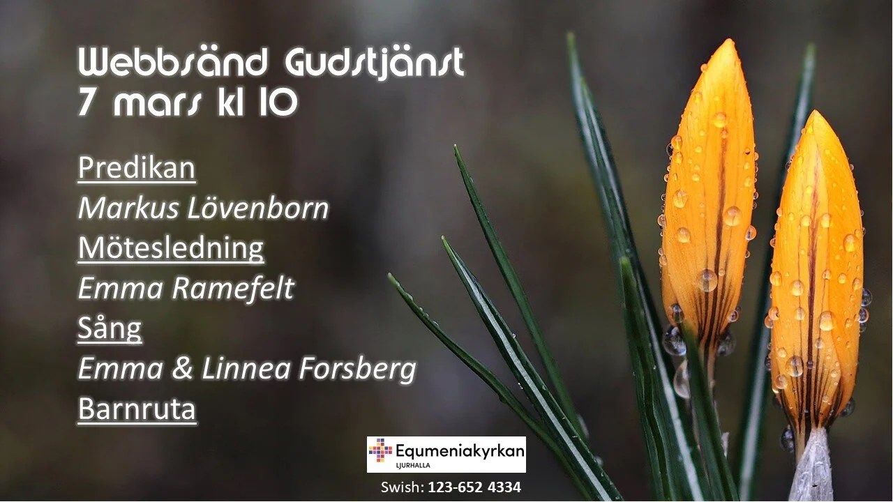 Webbgudstjänst 7 mars kl 10, 2.0