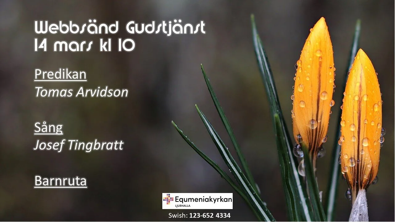 Webbgudstjänst 14 mars kl 10 