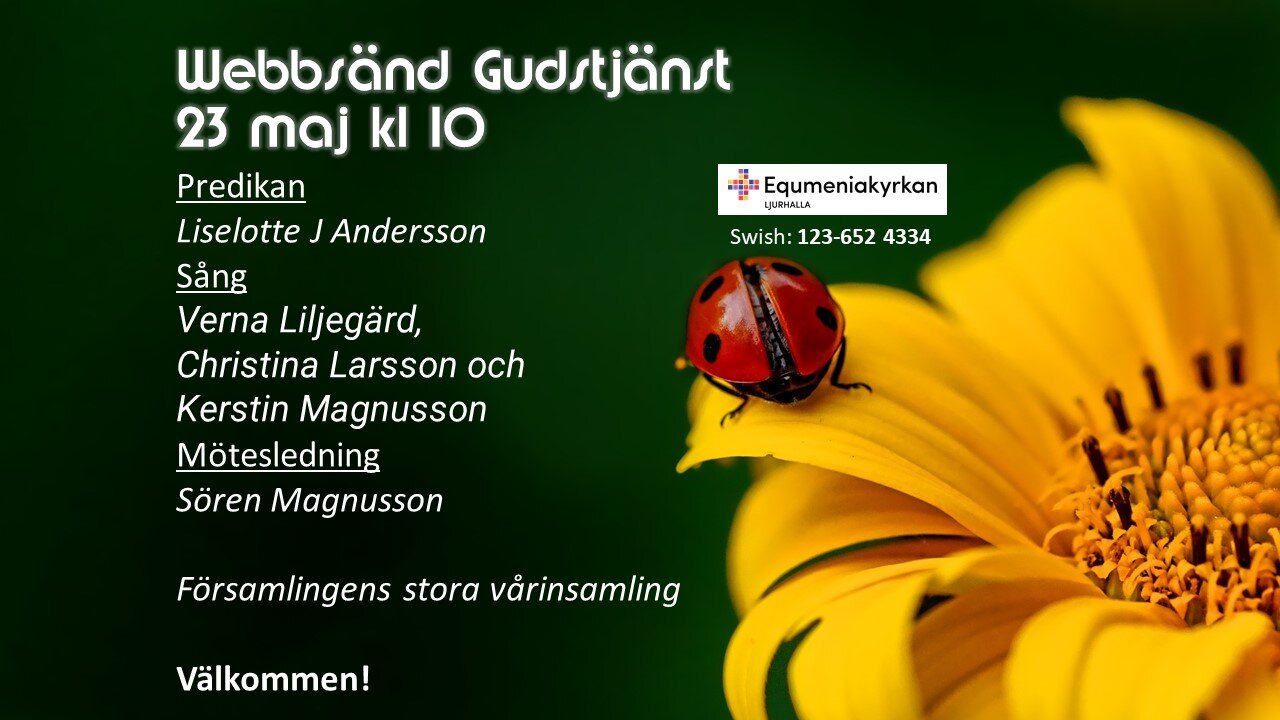 Webbgudstjänst 23 maj kl 10