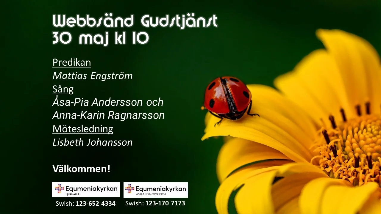 Webbgudstjänst 30 maj kl 10
