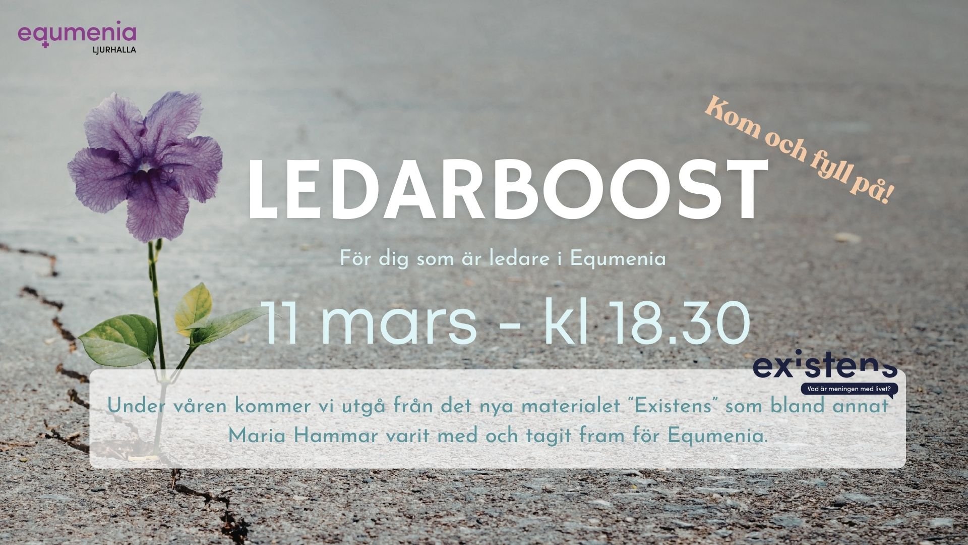 LEDARBOOST - existens