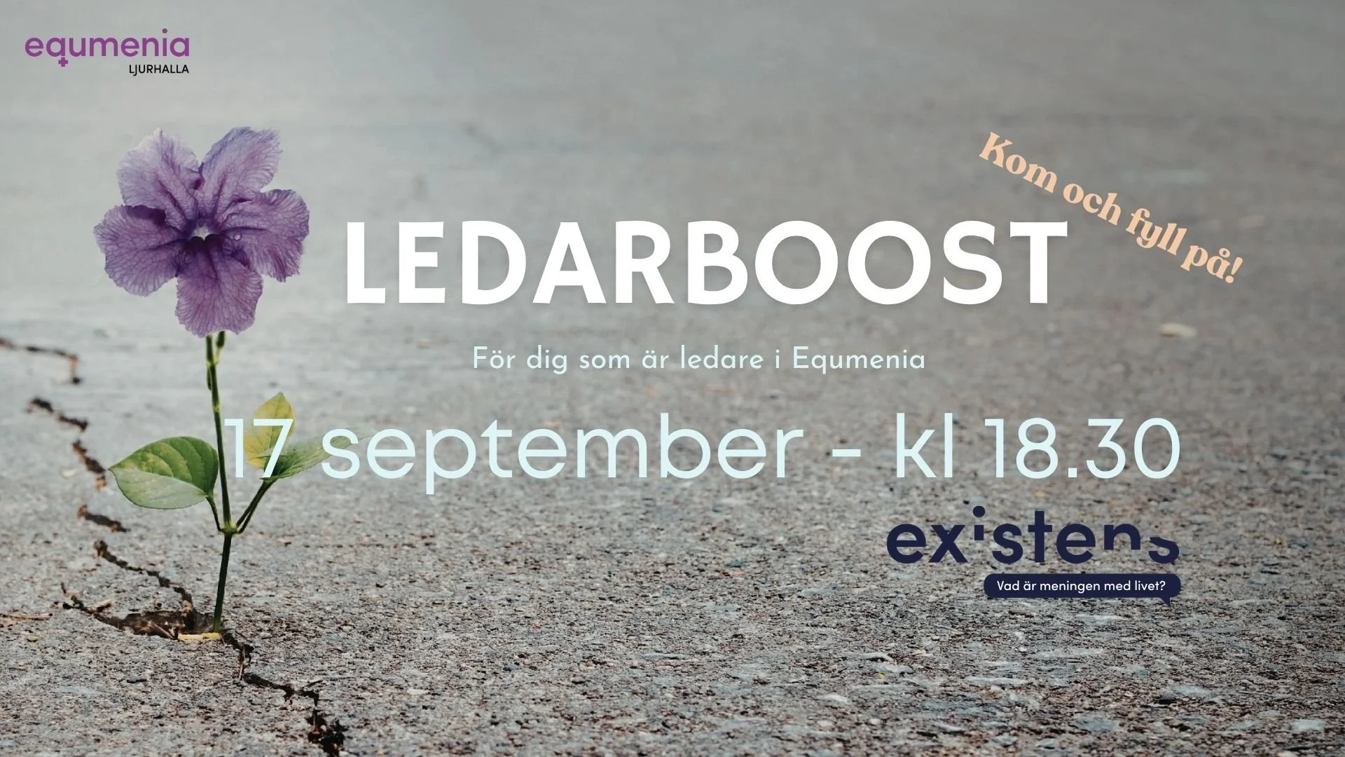 Ledarboost