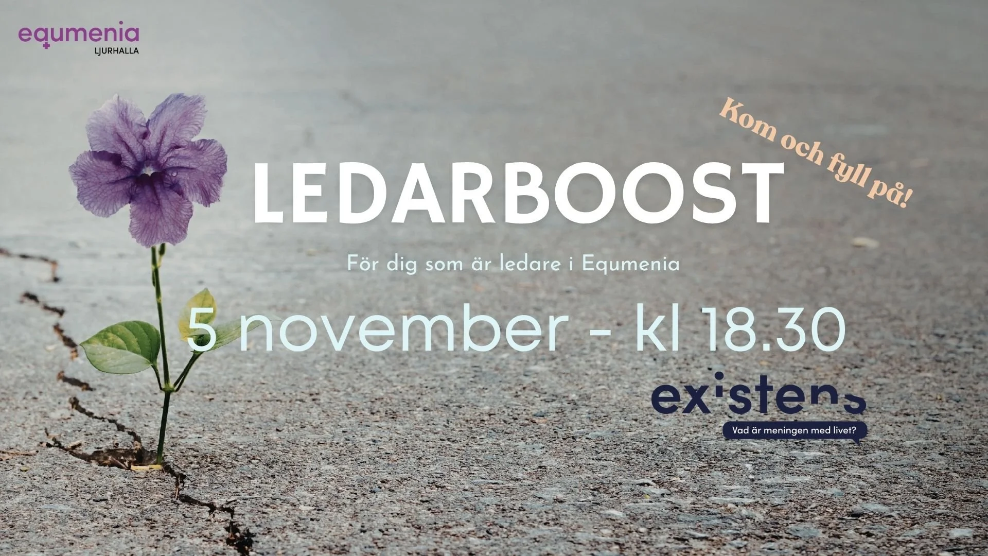 Ledarboost