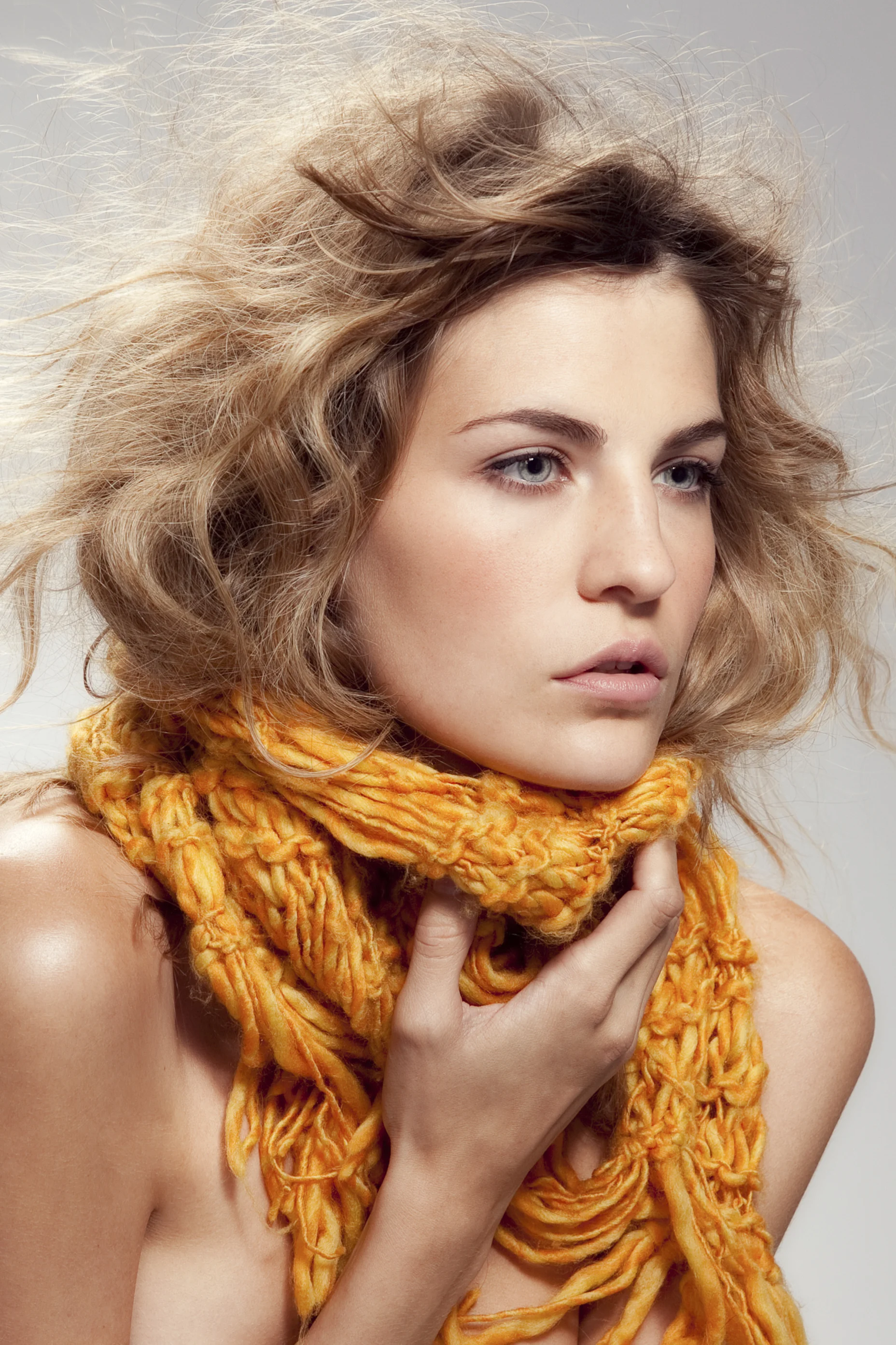 KnitWit_340.jpg