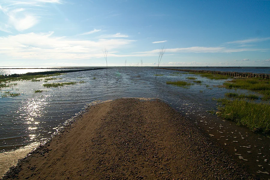 The_road_to_nowhere.jpg