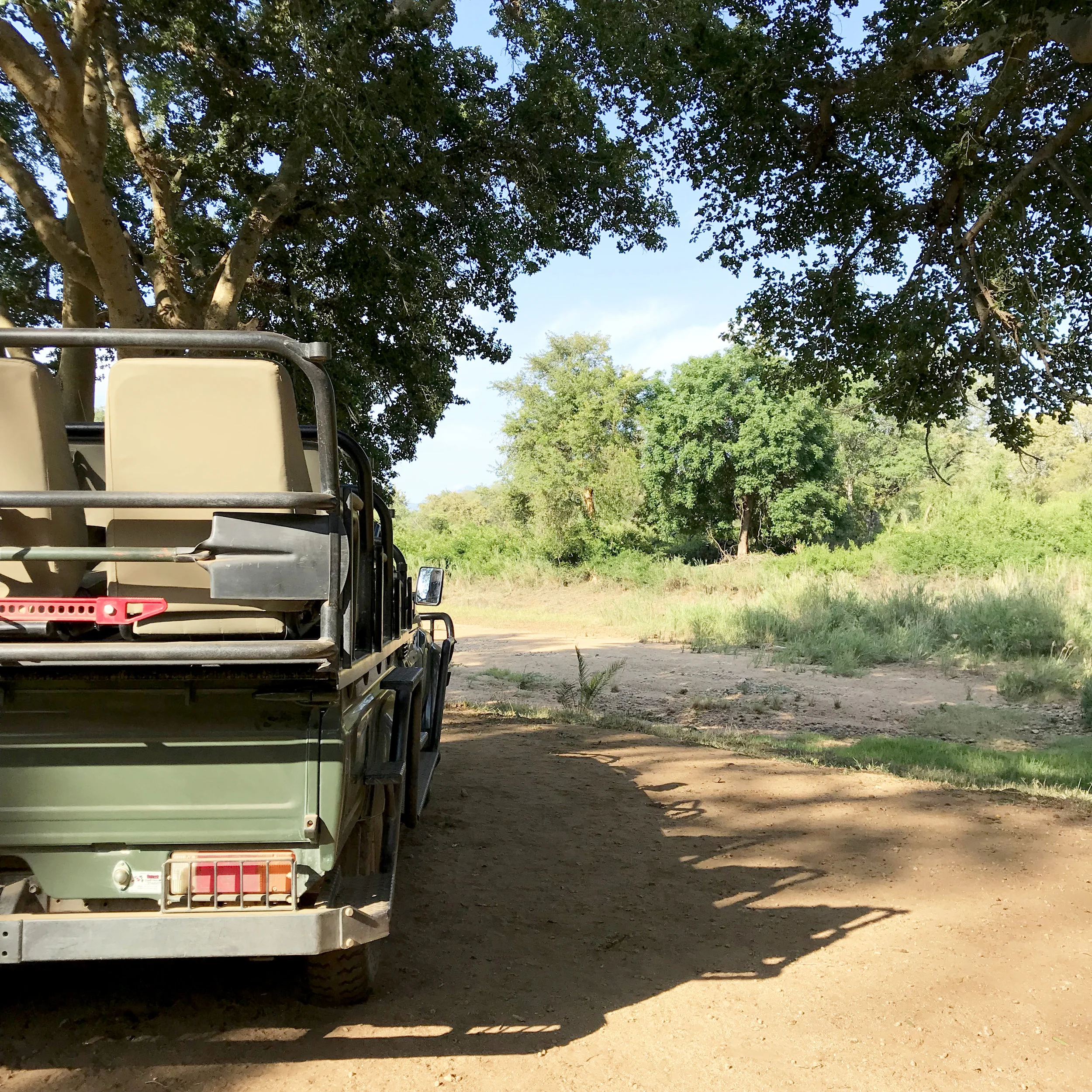 Africa, part two. 