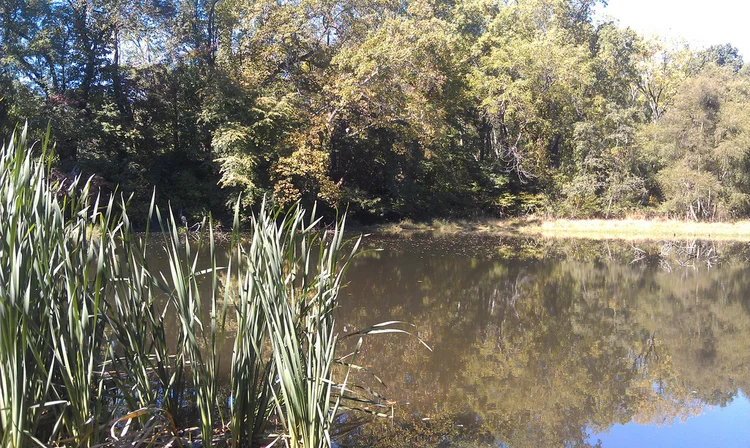 Fall adventures - 2012 edition.
