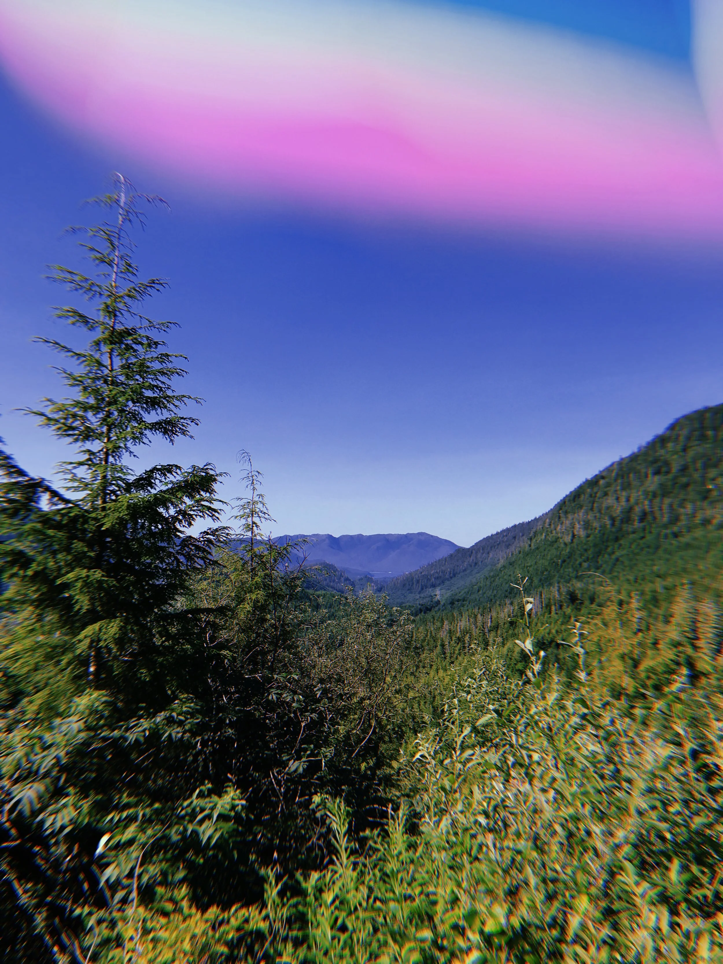 Week(day) coffee #79.