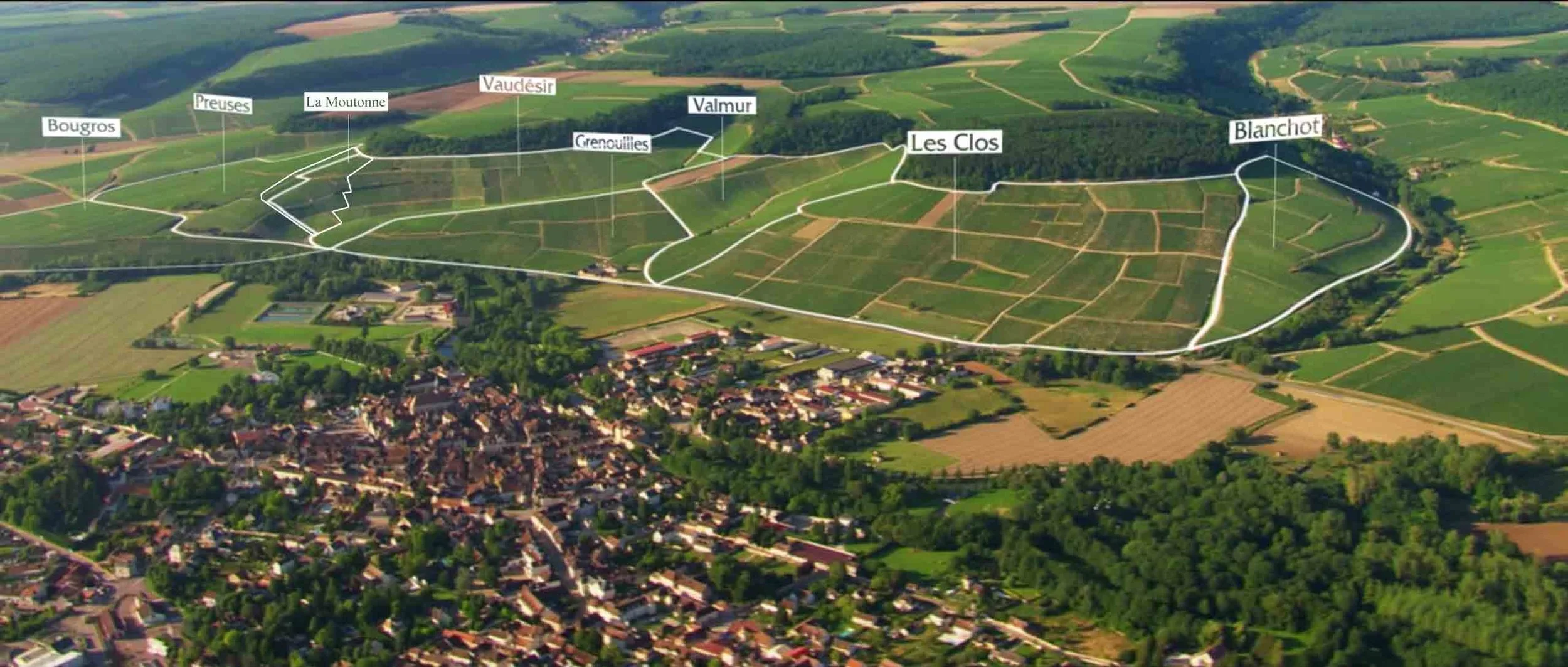 Photo source: Bourgogne Wine Board BIVB Chablis Grand Cru with 7 climats, plus unofficial parcel of La Moutonne