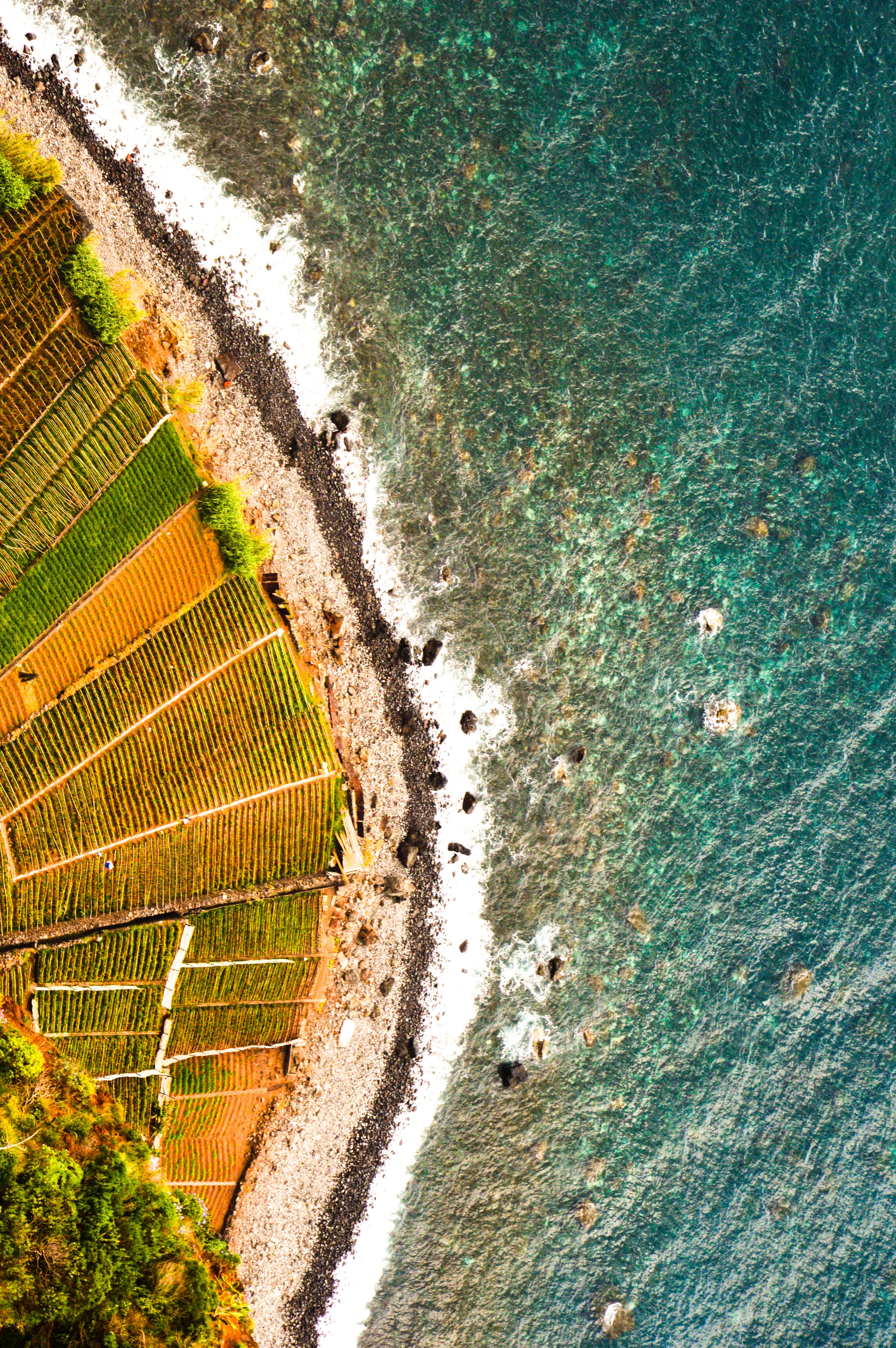 Video! Google Earth Tour of Madeira.