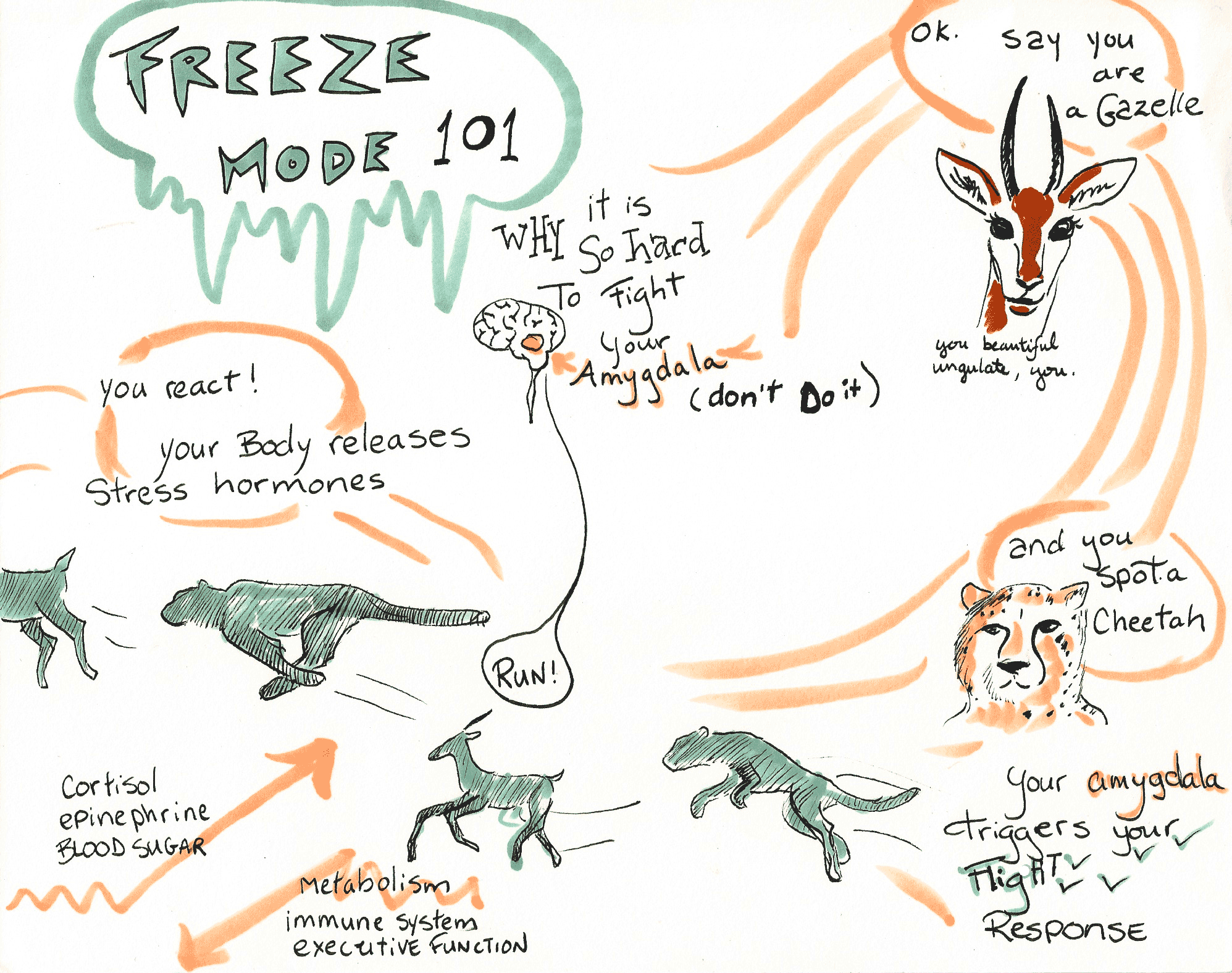 freeze.gif
